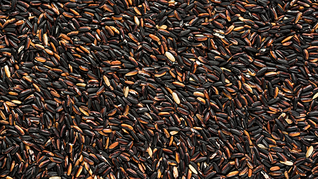 Названы чудо-свойства черного риса