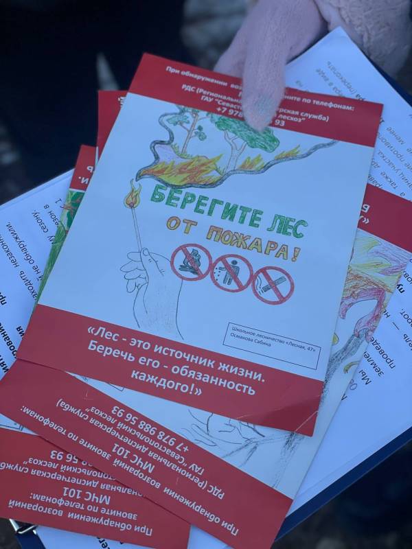 За порядком на лесных территориях постоянно следят специалисты надзорных ведомств