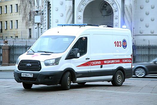 Ученые выяснили, что может привести к облысению