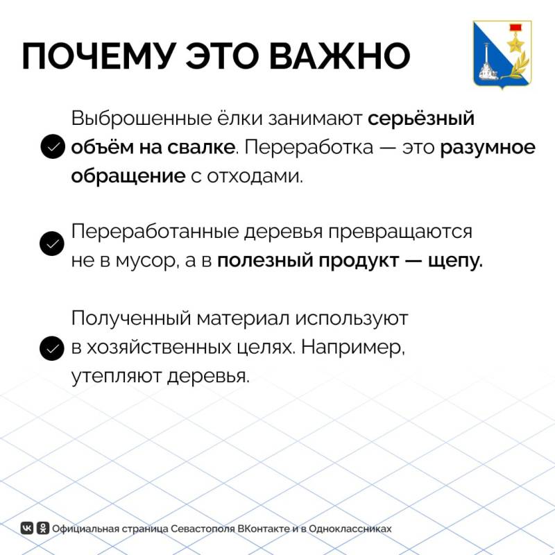 В Севастополе продолжают работать точки для сбора новогодних елей