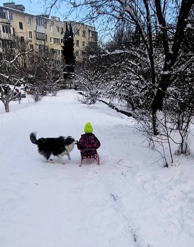Губернатор Михаил Развожаев поделился фотографиями, которые прислали севастопольцы Губернатор Михаил Развожаев поделился фотографиями, которые прислали севастопольцы