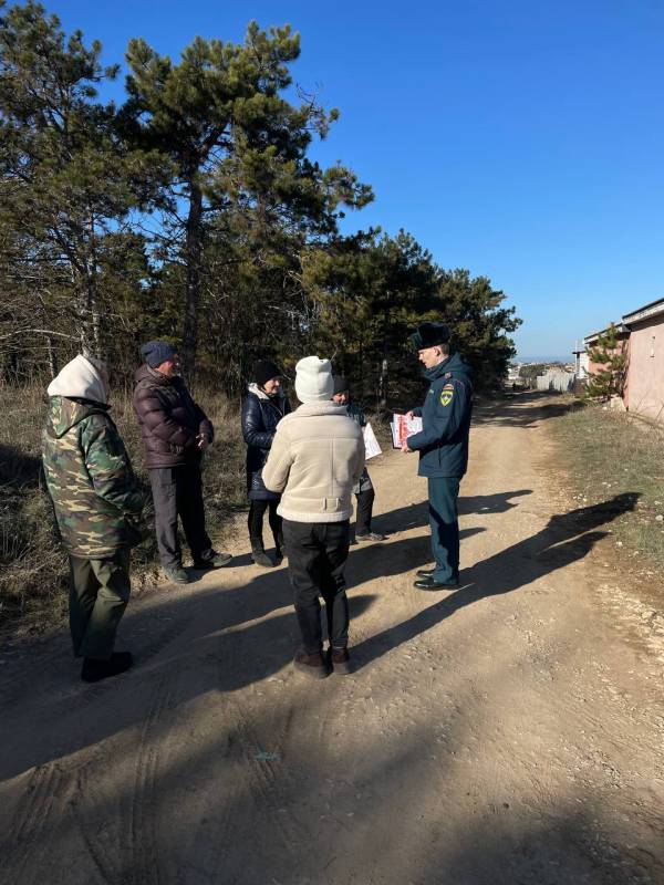 За порядком на лесных территориях постоянно следят специалисты надзорных ведомств