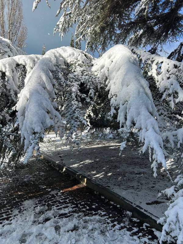 От снежного Севастополя остались только воспоминания ... и шедевральные снимки