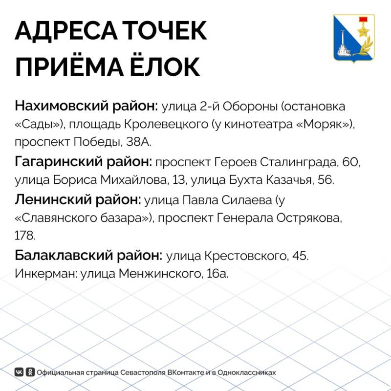 В Севастополе продолжают работать точки для сбора новогодних елей