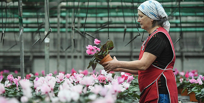 Ученые назвали необычный способ продлить жизнь