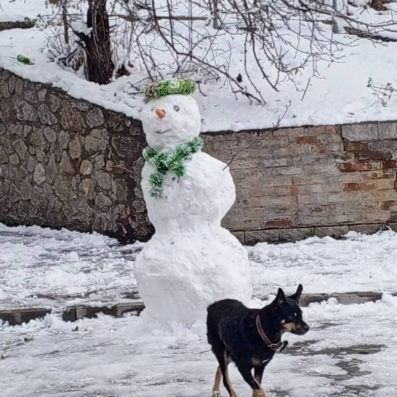 Губернатор Михаил Развожаев поделился фотографиями, которые прислали севастопольцы Губернатор Михаил Развожаев поделился фотографиями, которые прислали севастопольцы
