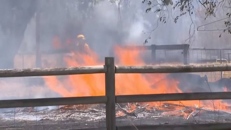 Лесные пожары в Австралии: один погибший