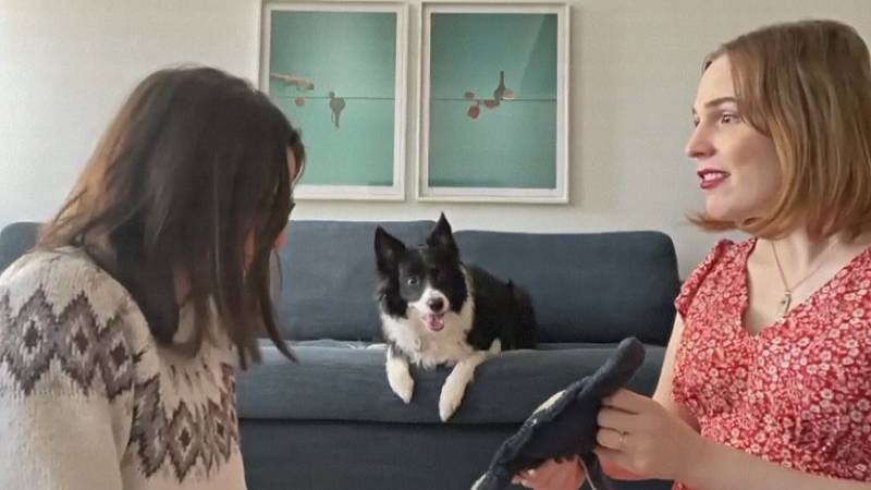 Собаки могут подслушивать и запоминать названия новых предметов