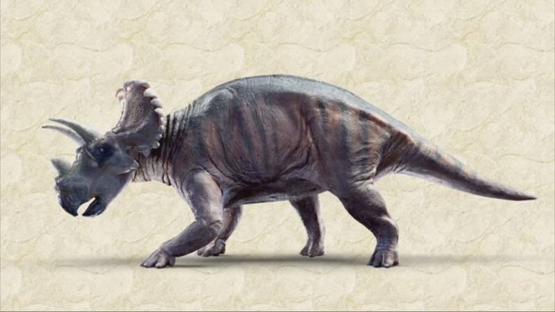 Учёные доказали, что рогатые динозавры обитали в Европе в меловой период