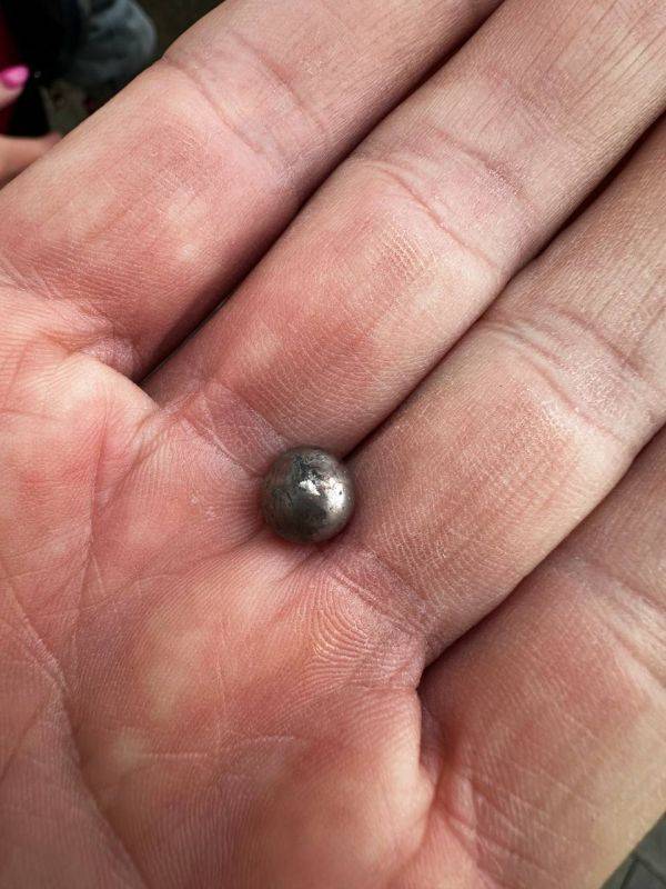 Сбитый дрон ВСУ в Севастополе содержал поражающие металлические шарики