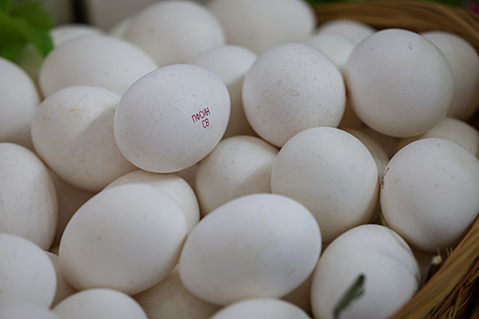 Европейская страна впервые за несколько лет закупила у РФ куриные яйца