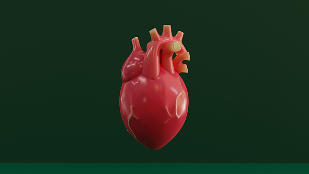 Названы продукты, которые опасны для сердца и сосудов