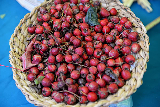 Плоды привычного растения связали со снижением накопления жира в печени