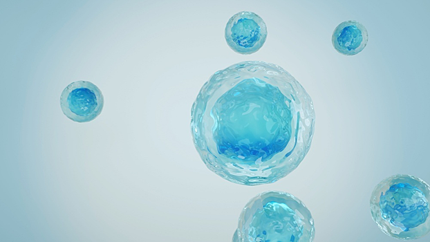 Обнаружен ключевой клеточный процесс, лежащий в основе старения