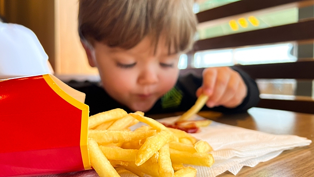 Как избыток сладкого и жирного в детстве изменяет мозг на всю жизнь