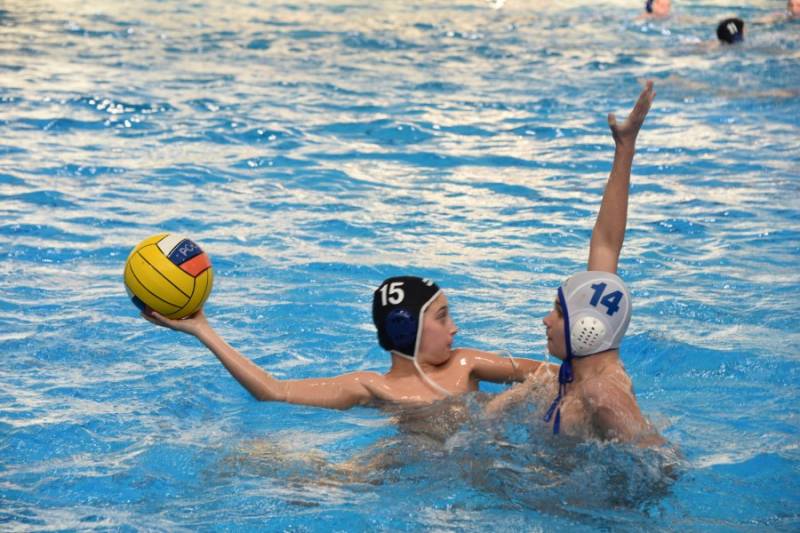 Владимир Немцев пожелал успеха юным участникам турнира по водному полу Владимир Немцев пожелал успеха юным участникам турнира по водному полу