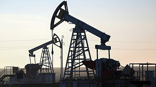 Посол Афганистана заявил о планах закупать у России нефть и газ