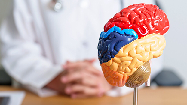 Открыт способ «включить» защиту нейронов при болезни Альцгеймера