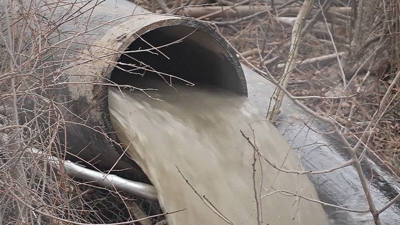 Белый дом: Трамп готов защитить реку Потомак после крупного разлива сточных вод