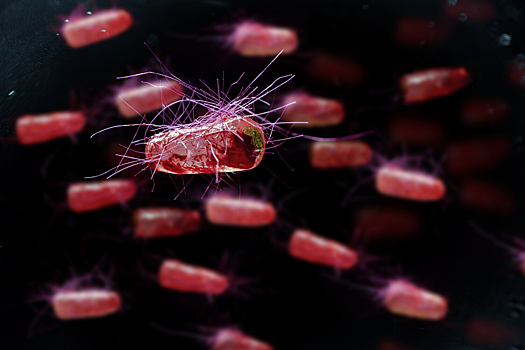 Ученые создали средство для похудения на основе природных веществ