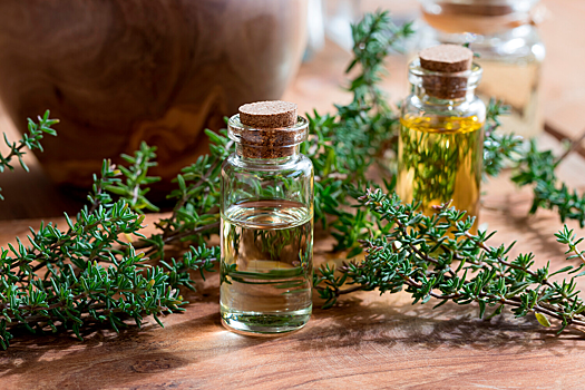 Найдена природная замена антибиотикам