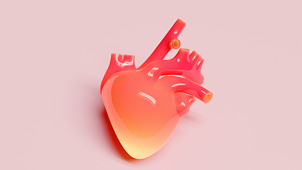 Создан кардиостимулятор без батареи, питающийся от сердца