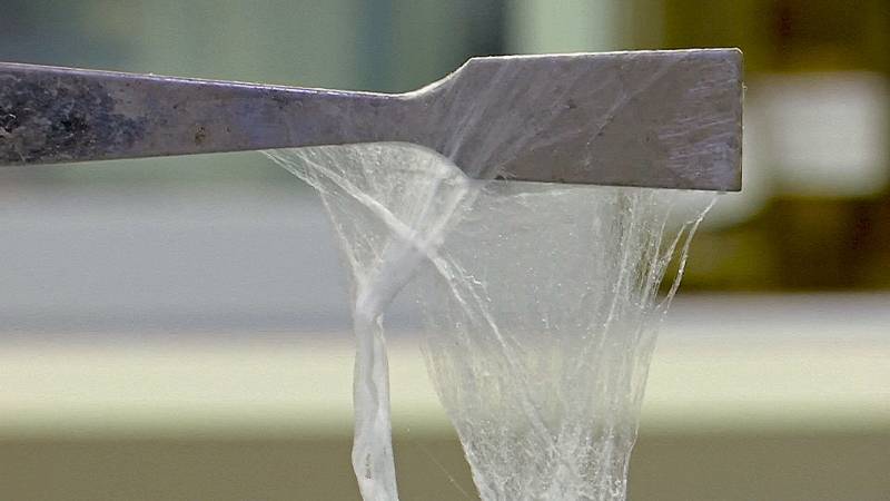 Экологичный пластик из конского навоза решили делать в Великобритании