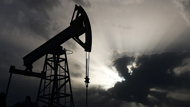 ЕС намерен ввести постоянный запрет на импорт российской нефти