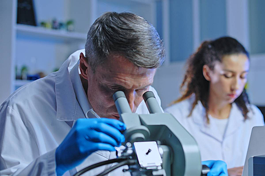 Раскрыт неочевидный способ замедления старения почек