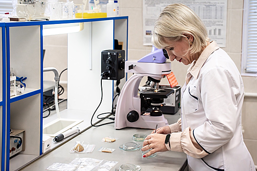 В Омске создают биоматериалы, восполняющие дефекты костей