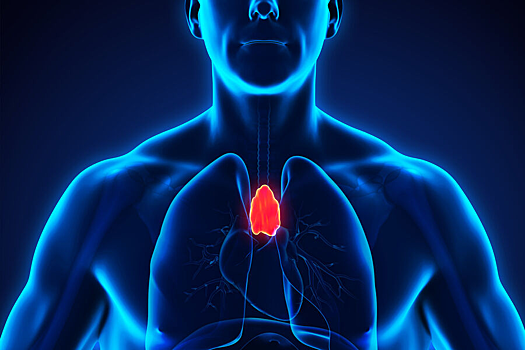 Как «ненужный» орган может снижать риск рака и болезней сердца