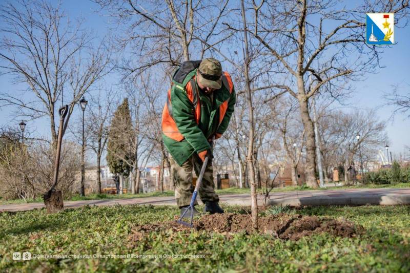 Специалисты «Парков и скверов» начали весенний уход за растениями в сквере Корабела Бутомы