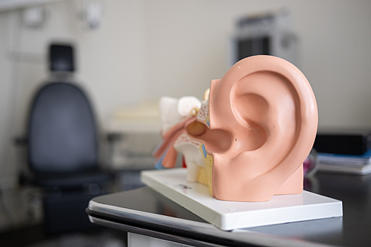 Когда начнут регистрировать искусственные органы