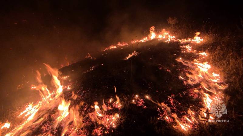 Ликвидирован лесной пожар в Симферопольском районе