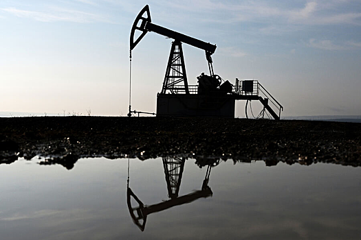 Индийская компания Reliance закупила у России 6 млн баррелей нефти