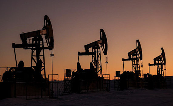 В Белом доме спрогнозировали сроки падения цен на нефть и газ