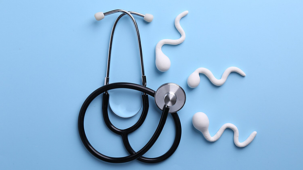 Стало известно, от чего зависит срок наступления беременности