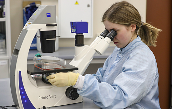 Создан сенсор для одновременного анализа дофамина и парацетамола