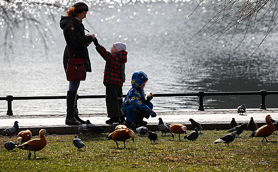 Госдума приняла закон о запрете изымать у многодетных земельные участки