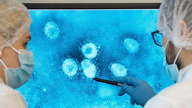 Определено необычное и опасное свойство пандемических вирусов