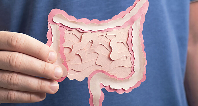 Найдена бактерия, которая усиливает и увеличивает мышцы человека