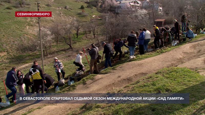 В Севастополе стартовал седьмой сезон Международной акции «Сад памяти»