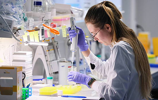 Ученые научились точнее анализировать форму нейронов мозга