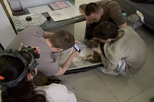 Студенты-медики придумали метод регенерации зрительного нерва