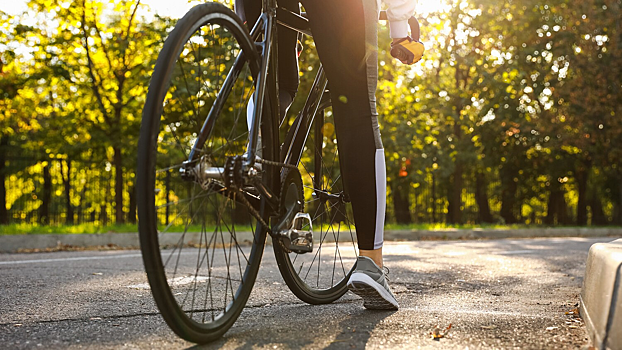 Выявлено хобби для пожилых, снижающее риск смерти и потери самостоятельности
