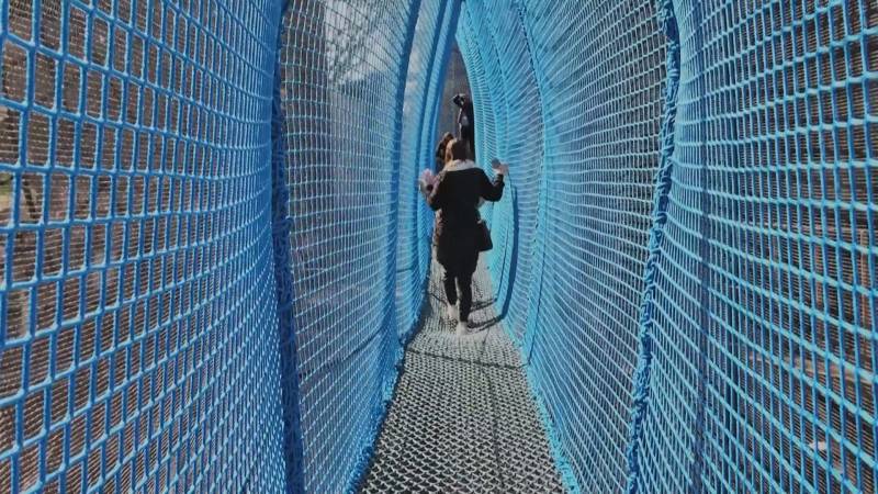 Прогулка на высоте в 60 метров: подвесной мост открылся на Эйфелевой башне