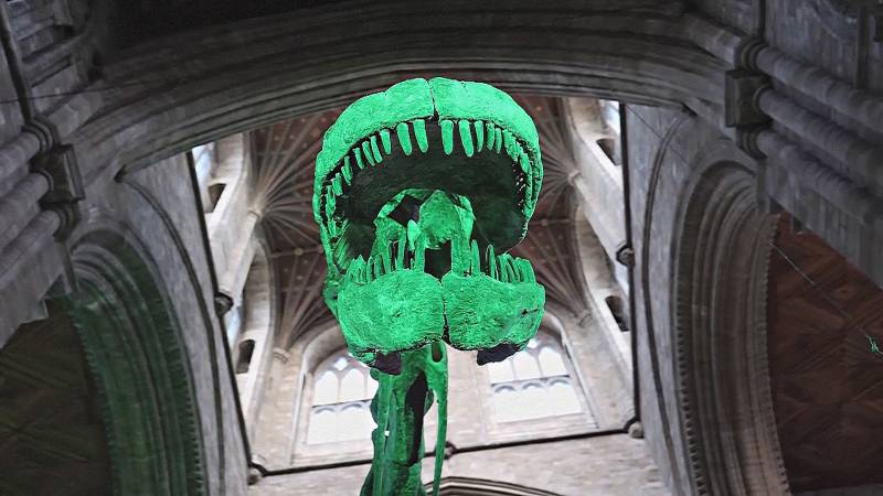 37-метровый скелет титанозавра временно «emstrongпоселился»/em/strong в соборе в Англии