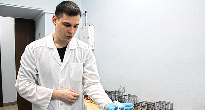 Ученые нашли способ нейтрализовать токсин гаффской болезни