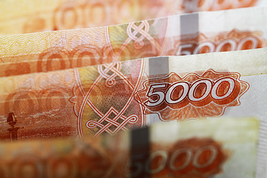 В России предложили создать совет для критики Минфина