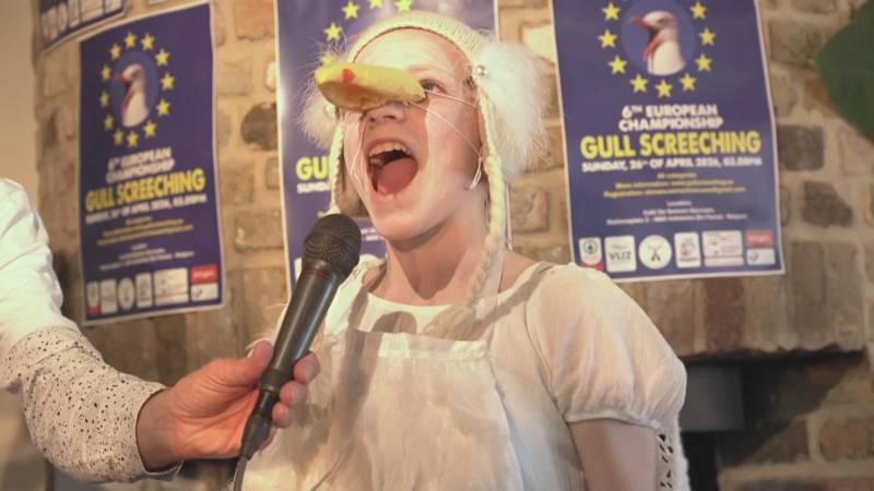 Чемпионат по имитации крика чаек провели в Бельгии
